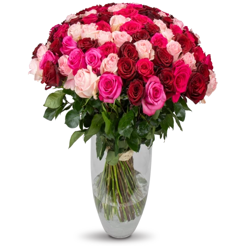 kytice ekvádorských růží 80 cm